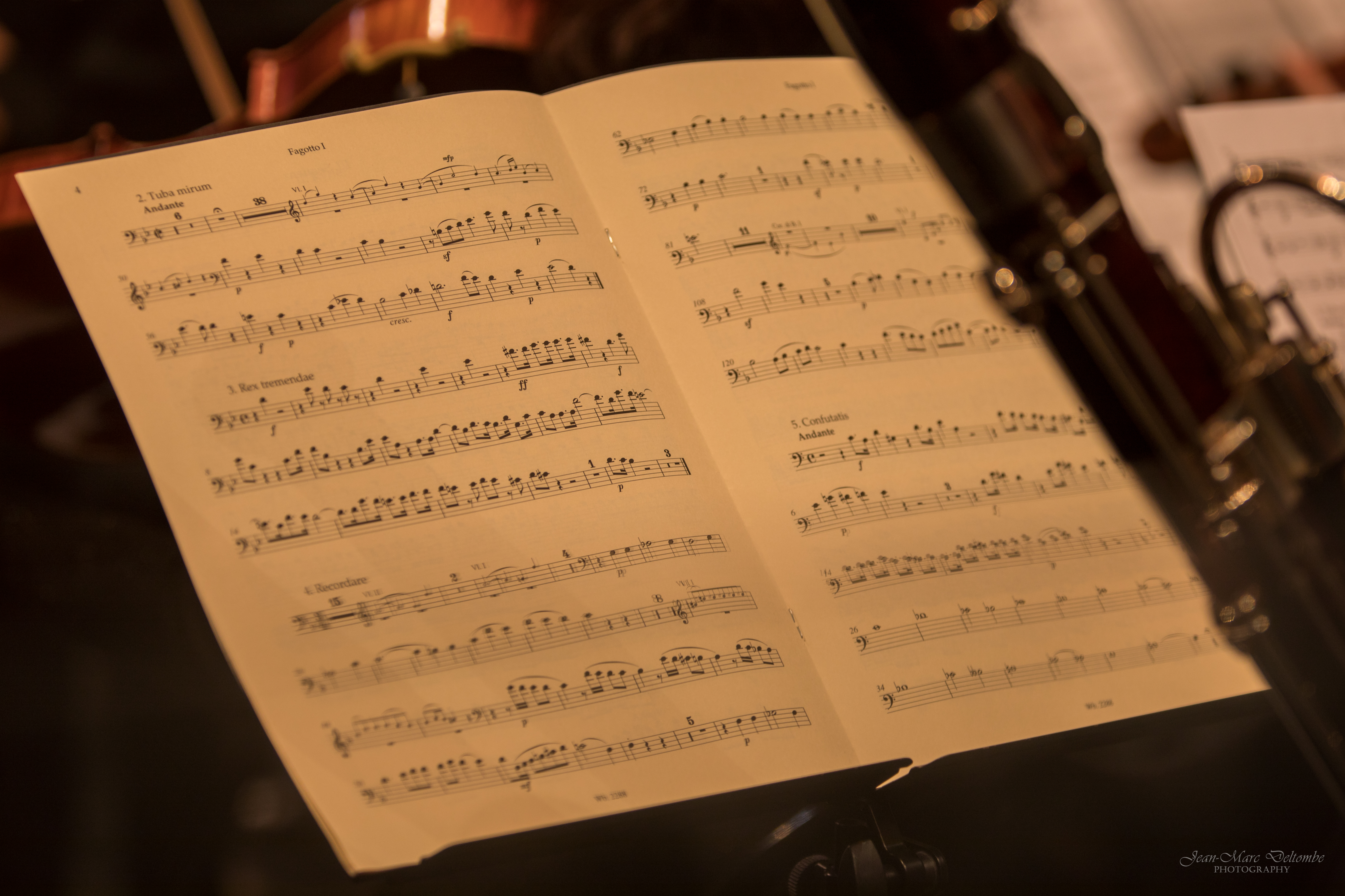 carousel image 9