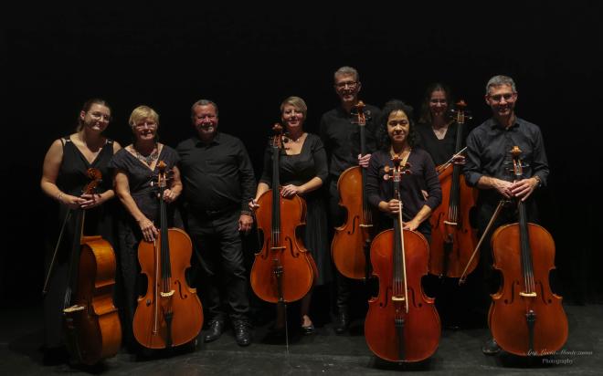 Violoncelles